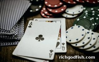 财神捕鱼视角下的桌游规则变通艺术与加盟代理运作逻辑
