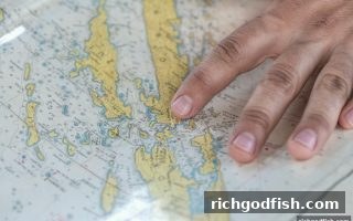财神捕鱼｜冷热号变化趋势深度解析：从识别到策略实战