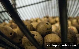 极速赛车实战指南：财神捕鱼视角下的SG电子玩法与理性策略