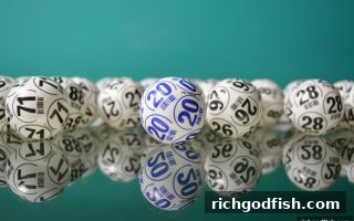 飞禽走兽彩票胆拖组合策略全解析：财神捕鱼带您玩转数字游戏