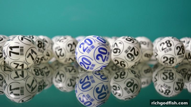 飞禽走兽彩票胆拖组合策略全解析：财神捕鱼带您玩转数字游戏
