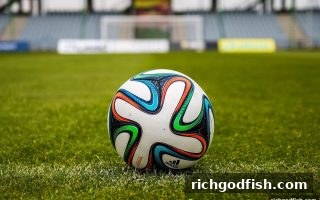 财神捕鱼深度解析：复式与胆拖策略如何让选号更聪明？