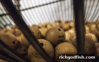 财神捕鱼世界杯季：单双大小玩法与直播互动全解析