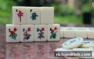 财神捕鱼高手进阶：德州扑克与牌九的赢利核心与返水奥秘
