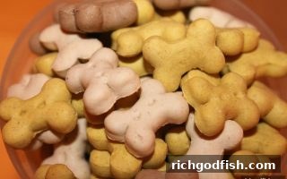 新用户福利指南：财神捕鱼签到返利与快捷支付双重体验