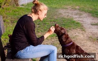 财神捕鱼带你玩转欧冠直播：注册福利与优惠活动深度解析