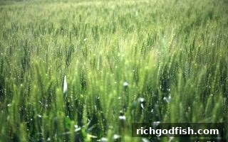 财神捕鱼玩家必读：签到奖励发放时间全攻略