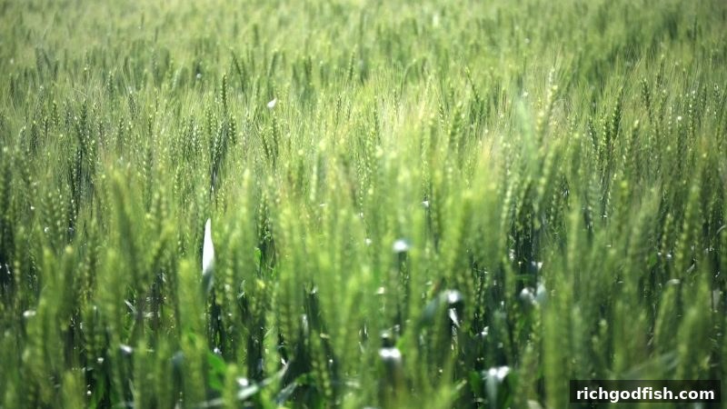财神捕鱼玩家必读：签到奖励发放时间全攻略