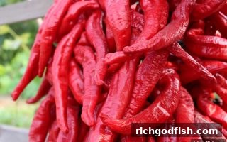 财神捕鱼深度解析：亏损补偿活动如何合规参与？全流程指南