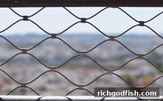 财神捕鱼平台：玩家权益保障的多维度策略详解