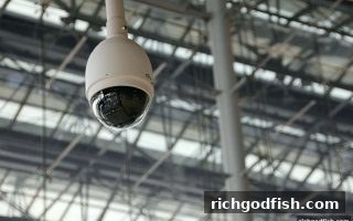 财神捕鱼深度揭秘：如何识破捕鱼达人黑平台陷阱并高效维权（含足彩风险防范）